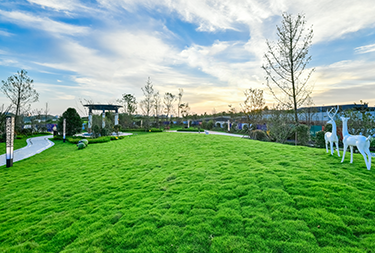 内蒙古环评 内蒙古环评